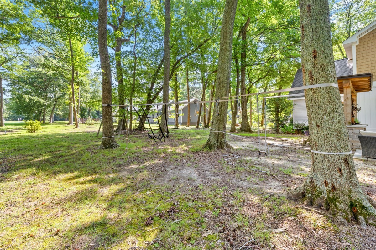 Side yard and trees